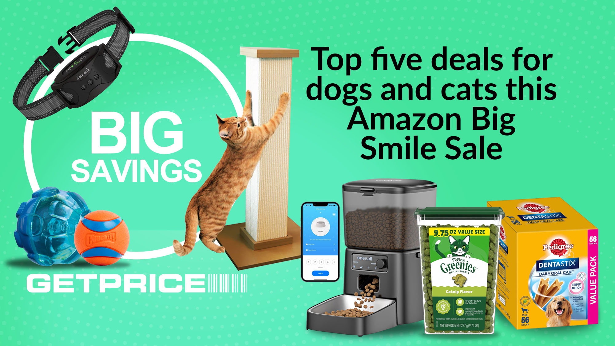Green background with white writing that says Big Savings with scattered images of pet products around it