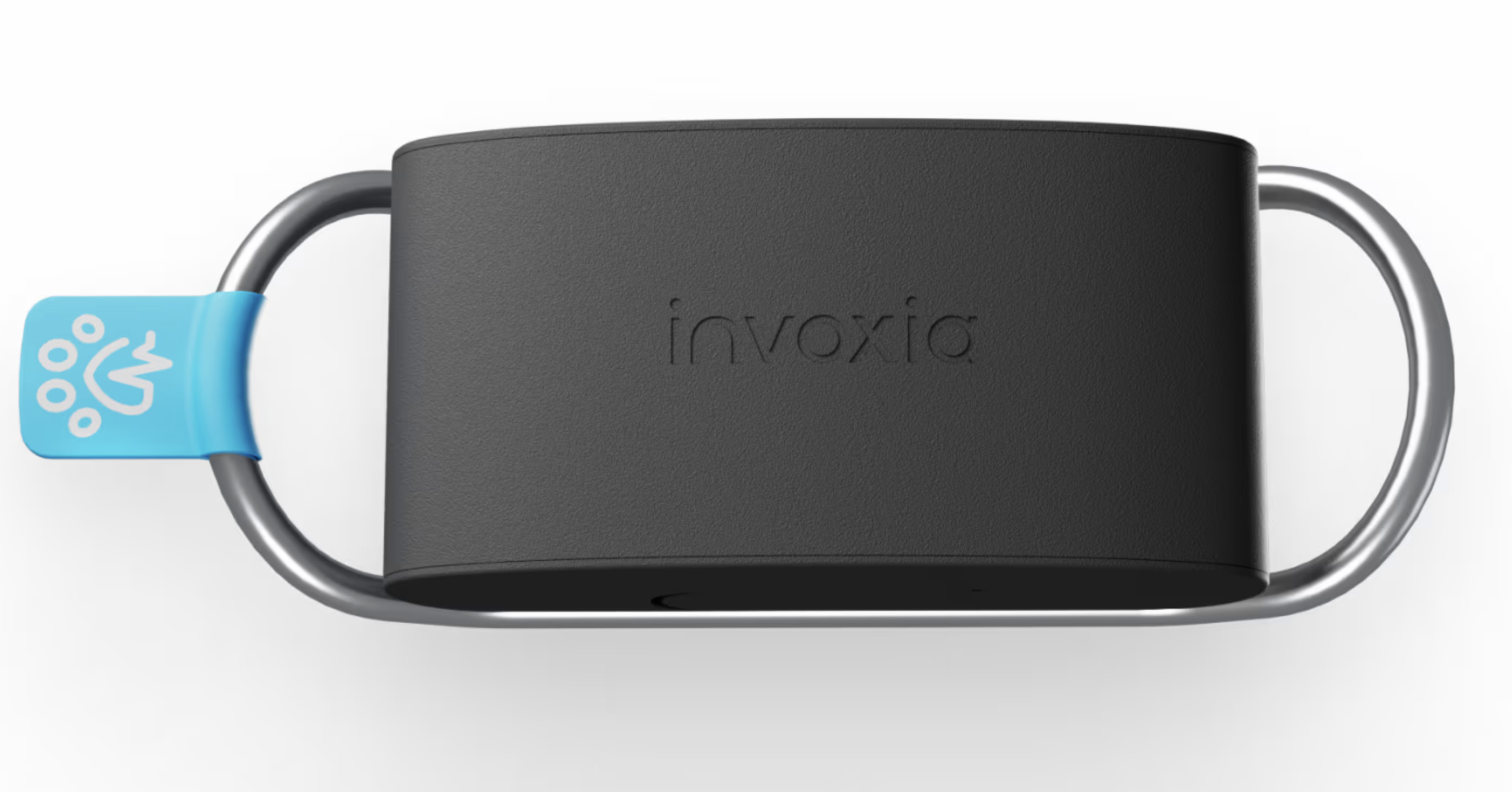 Invoxia Launches Minitailz, An AI Wearable That Monitors Your Pet's Health  - IMBOLDN