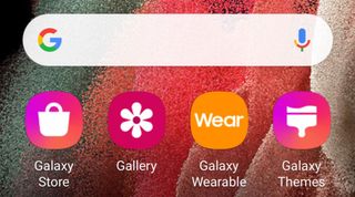 Galaxy store best sale wearable app