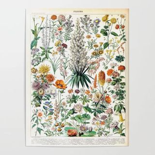 Vintage floral poster on white background