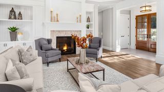 a large elegant living room
