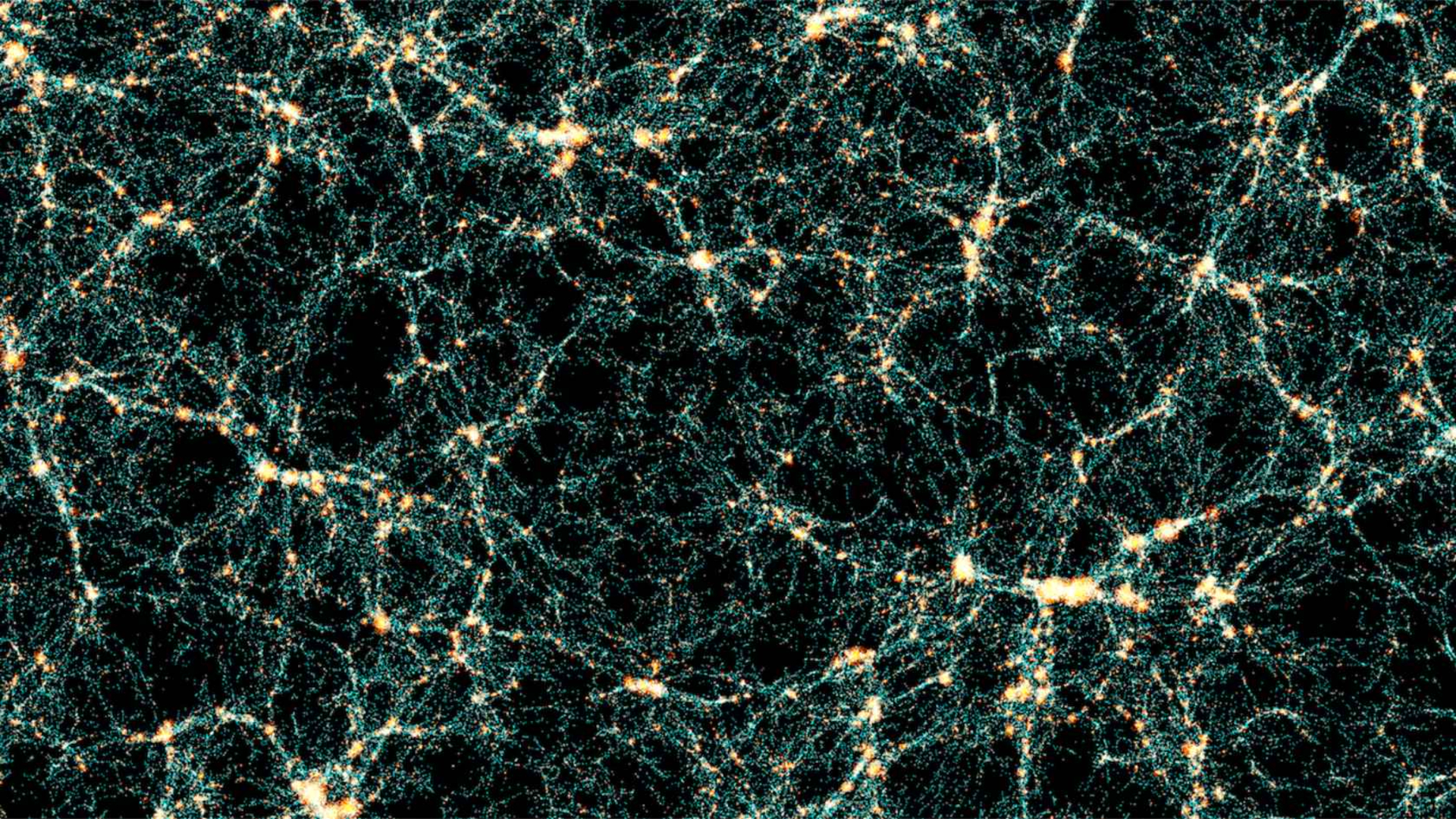 A series of weblike shapes made of green and white fibers spread across a black background