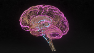 Conceptual colorful neon image of the brain against a black background