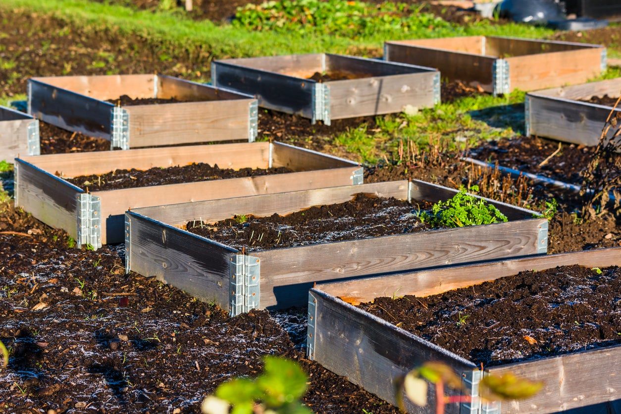 Raised Pallet Garden Beds