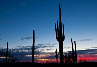 Sonoran Desert, Arizona, dark sky week