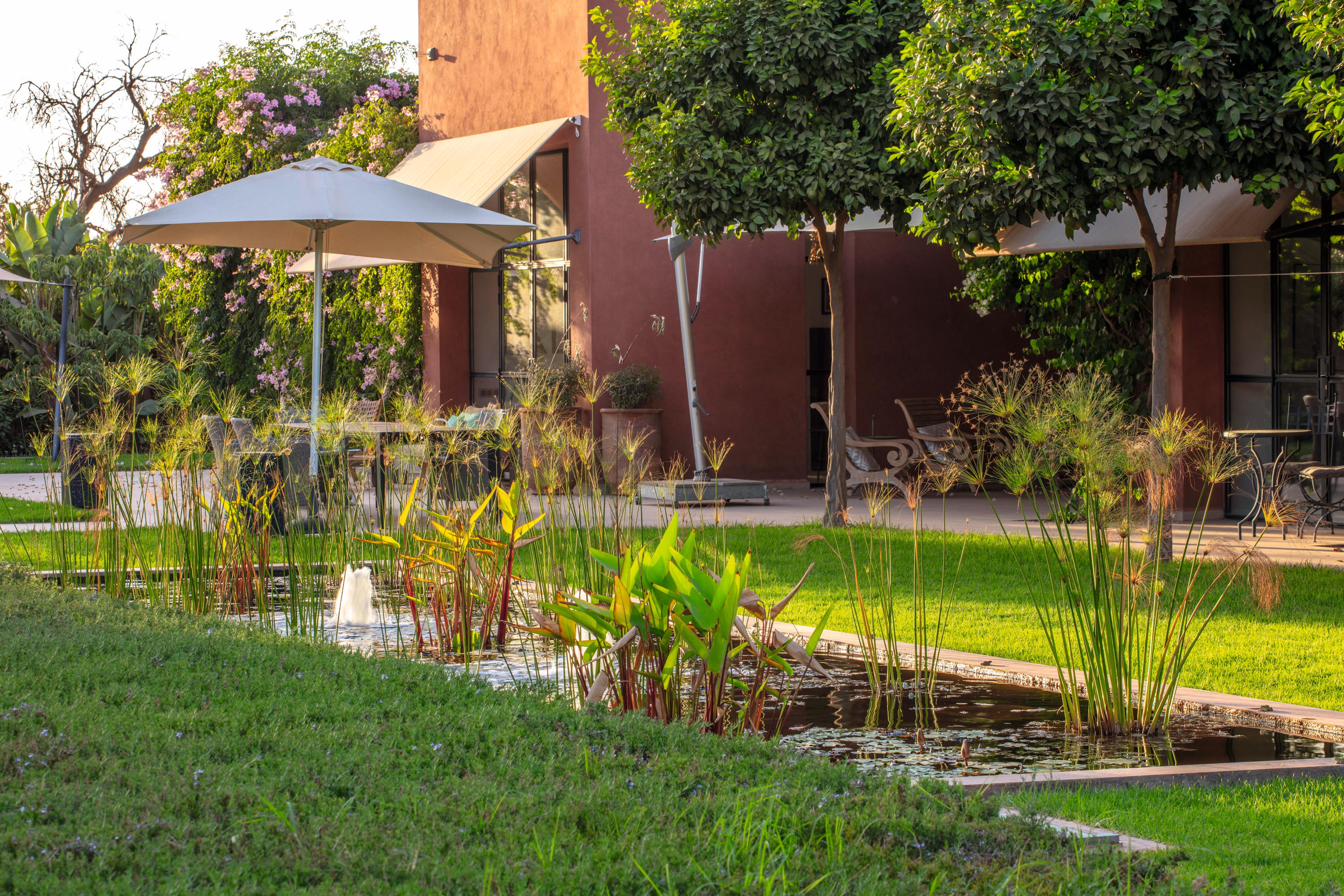 The gardens of Riad Nouria near Marrakech, Morocco.