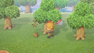 Animal Crossing New Horizons Safely Catch Bugs 008