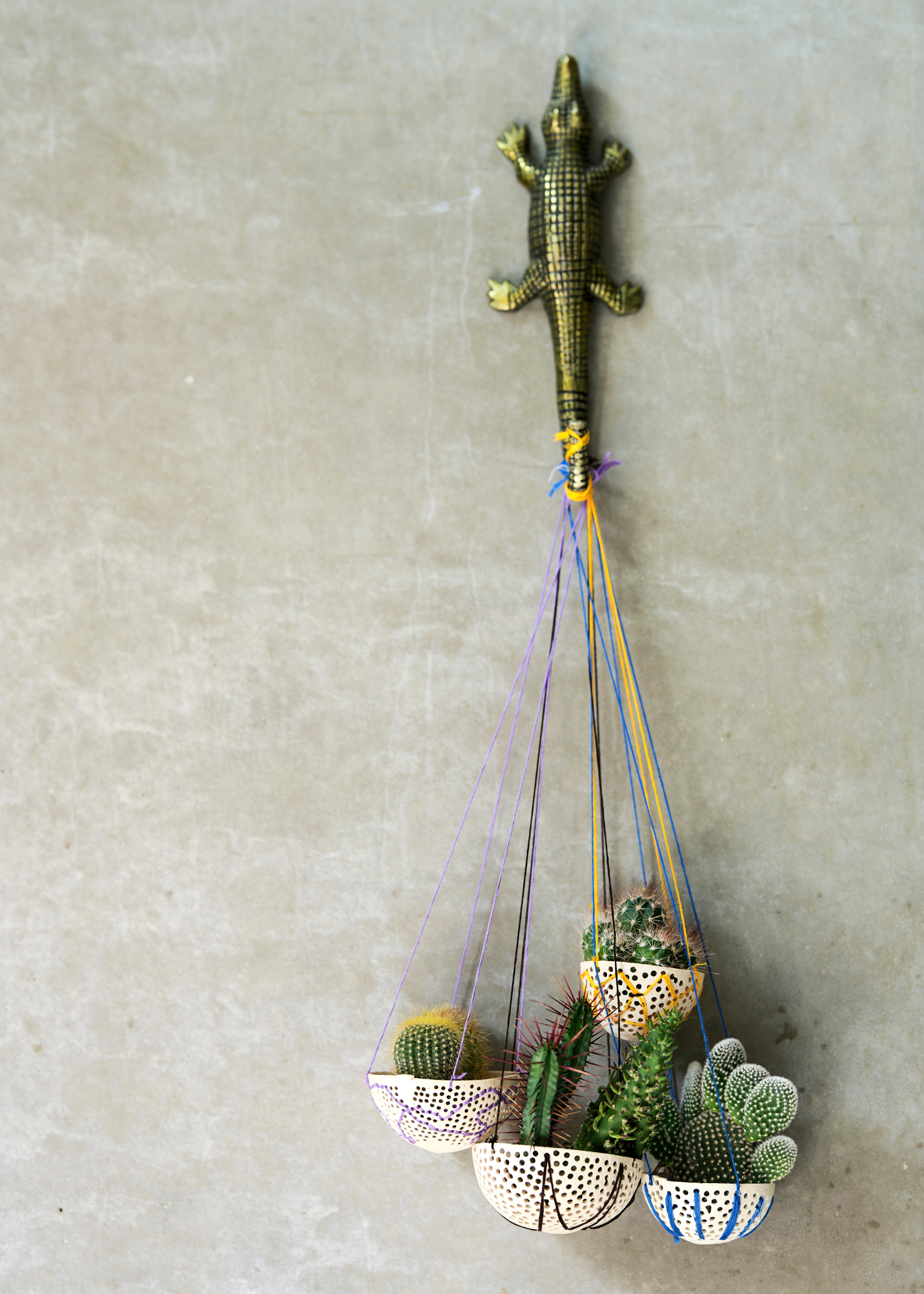 A collection of hanging planters with cacti, including a gold barrel cactus