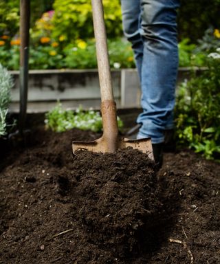 digging soil with spade