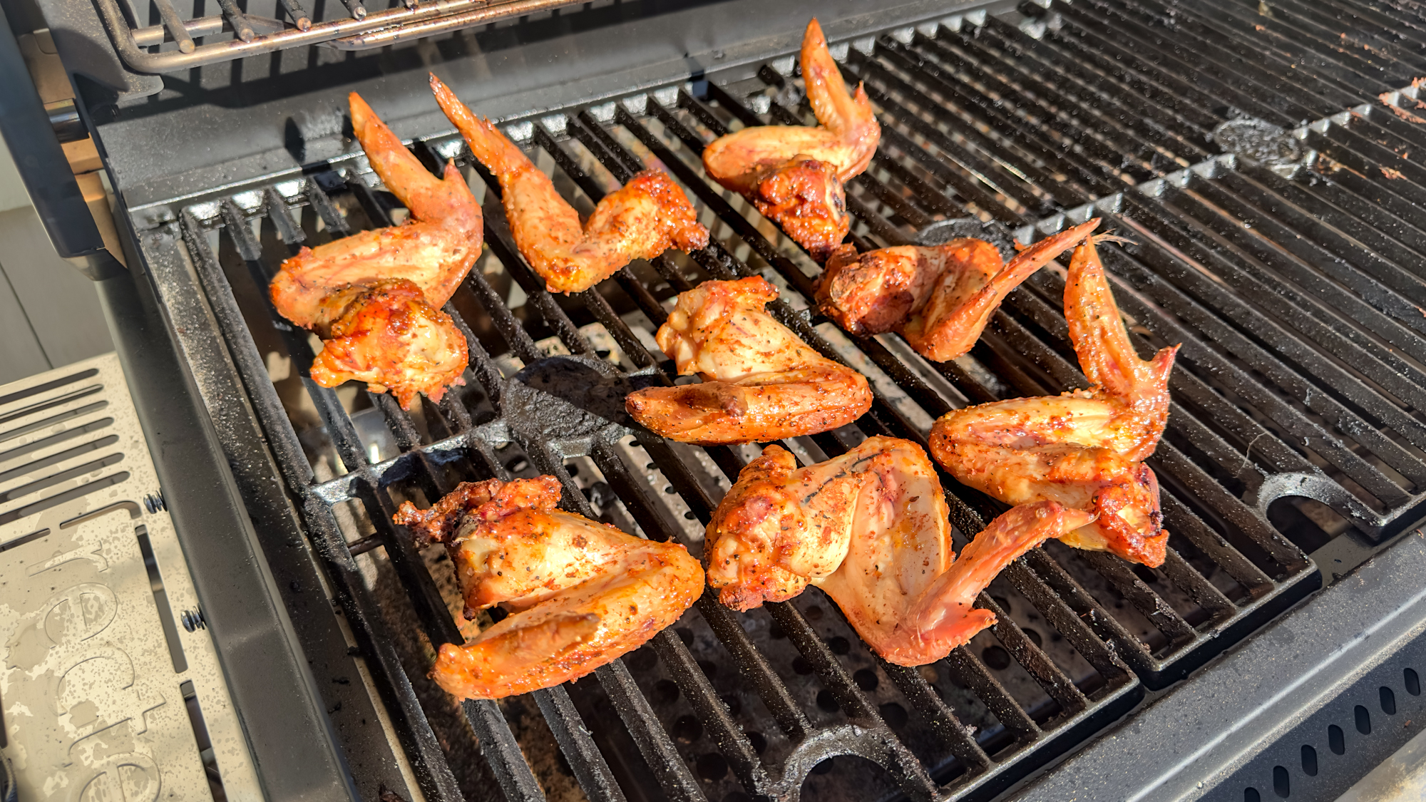 Rectec X-Fire Pro 825 grill and food