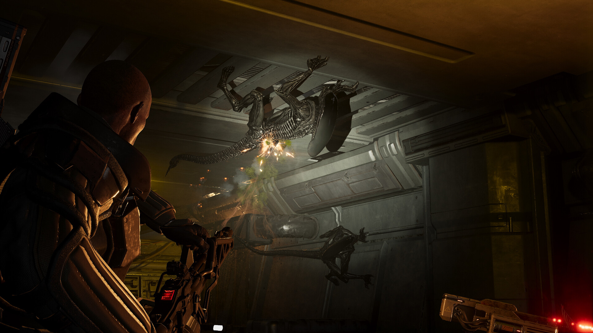 A screenshot of the upcoming Xbox game, Aliens: Fireteam Elite 2