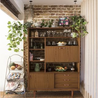 wooden shelving unit with cupboards, green plants and jug, next to a magazine rack
