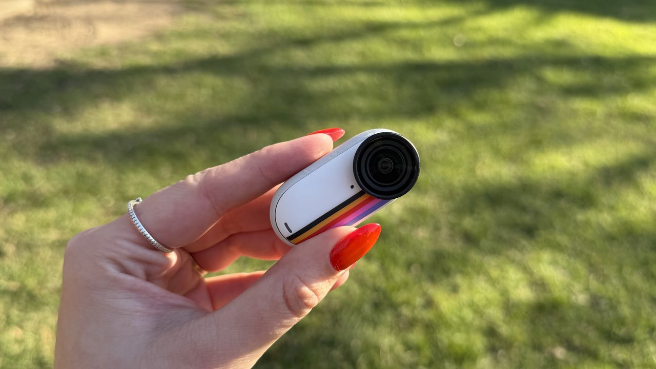 Insta360 lifestyle images featuring a dog