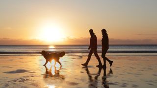 Two people walking along the beach at sunset with their dog