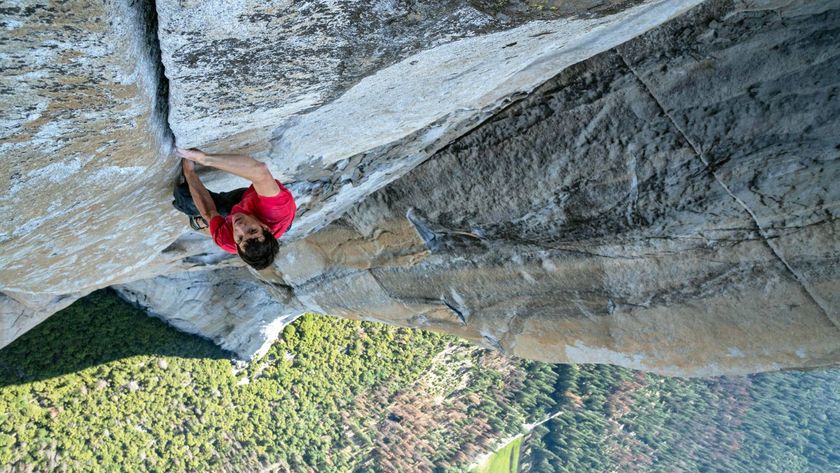 Alex Honnold climbing in "Free Solo"