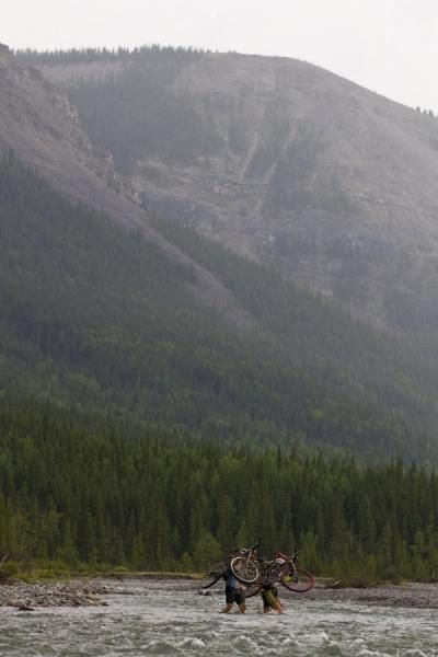 Looking down on one of the long fore trails
