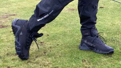 adicross golf shoes review