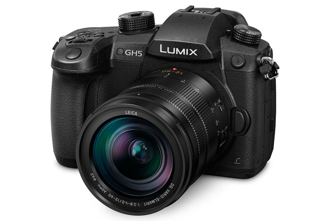 best professional camera: Panasonic GH5