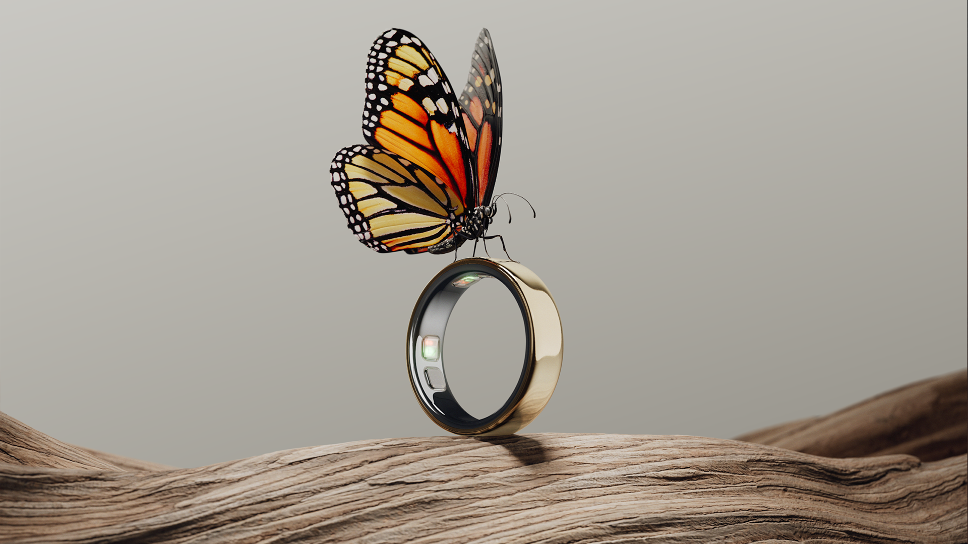 The Oura Ring 5 with a butterfly on top of it