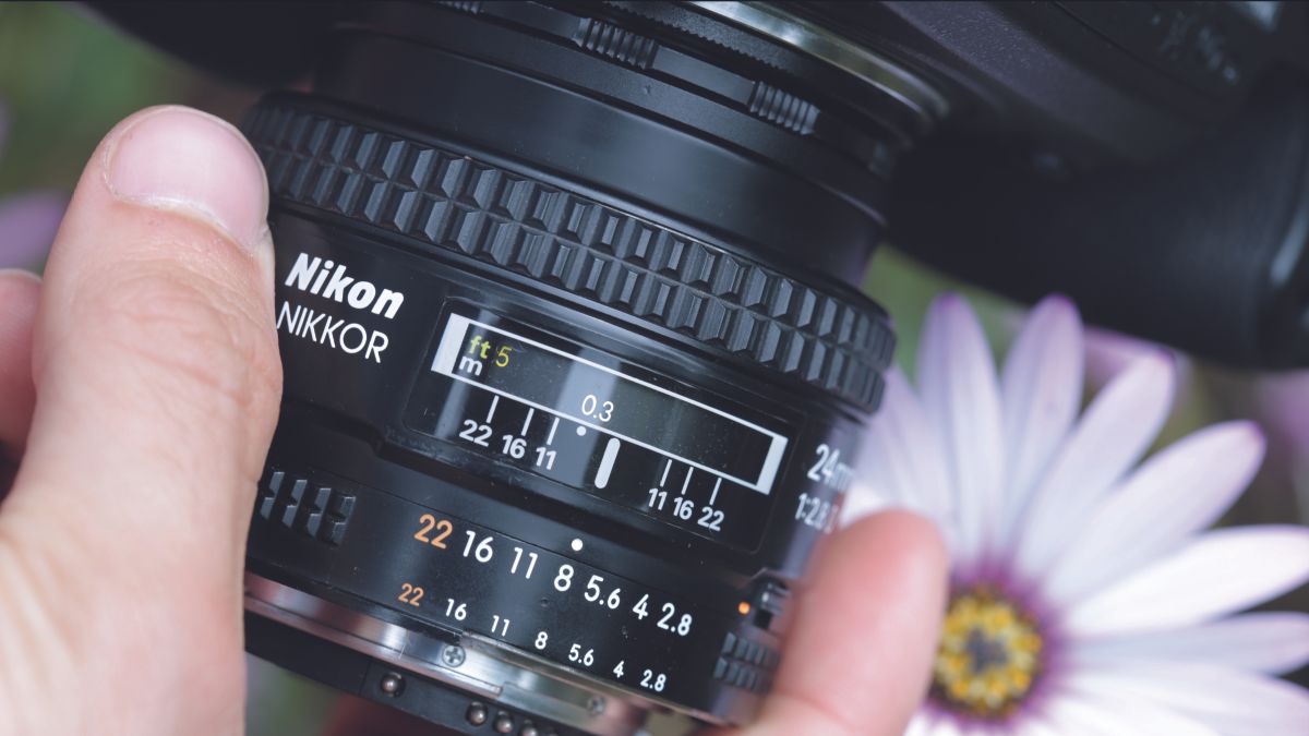 How to use flash for your photography: Make a mobile macro studio ...