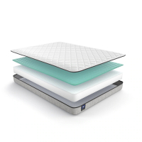 Sealy Essentials Arwen Mattress: was $263 now $99 @ PC Richard &amp; Son