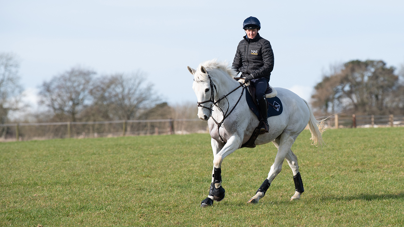 Tom Mcewen riding Brookfield Benjamin Bounce