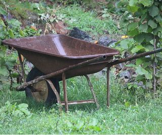 Wheelbarrow in rain