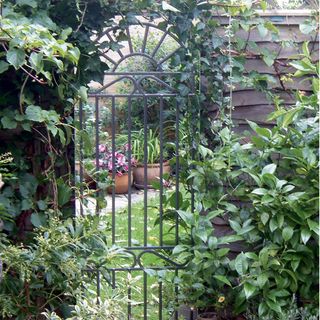 Glass Gates Garden mirrors