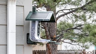 Feathersnap Scout Bird Feeder mounted on the side of a house.