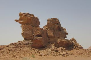 A mysterious, ancient camel "sculpture" discovered in Saudi Arabia.