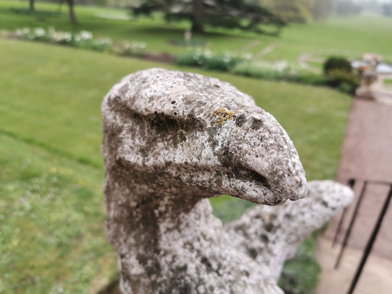 Subtle bokeh helps focus the image while maintaining wider context.
