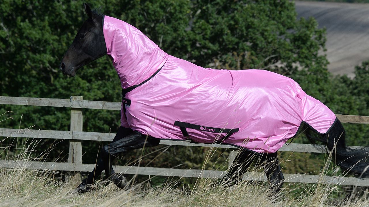 Bucas Freedom fly sheet