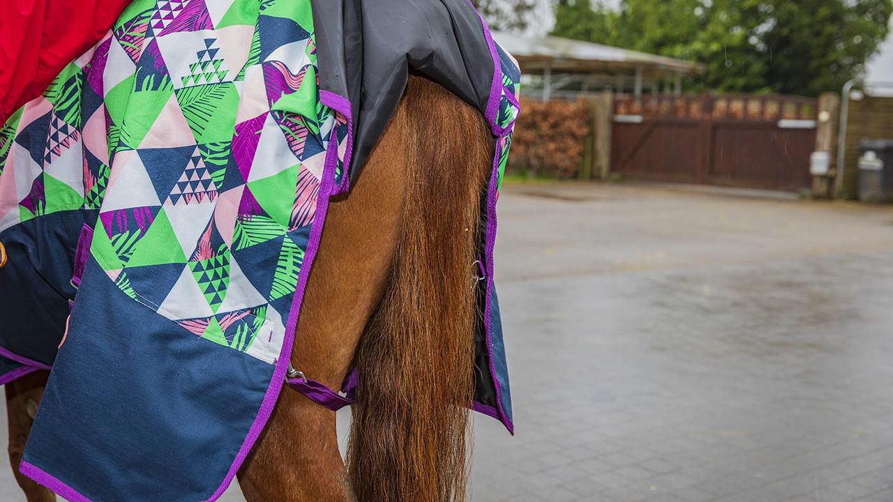 Ponyo 100g turnout rug review