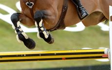 festival of showjumping prizes