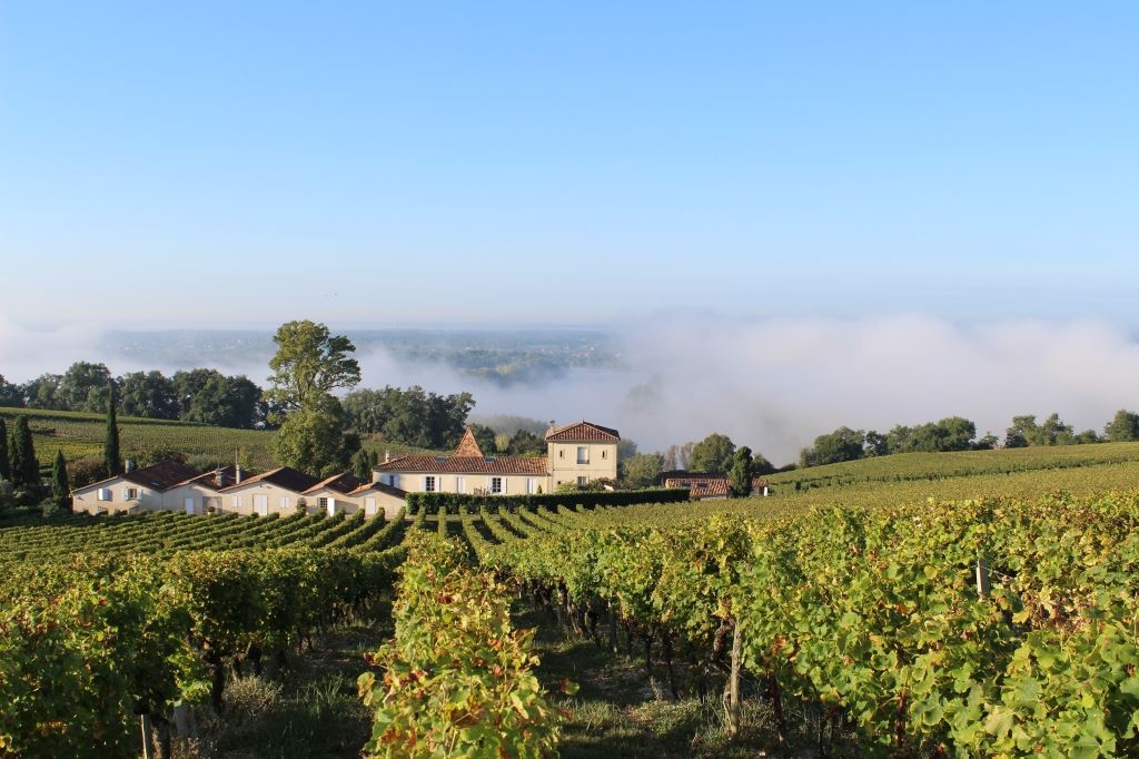A view of Ch&amp;acirc;teau Biac