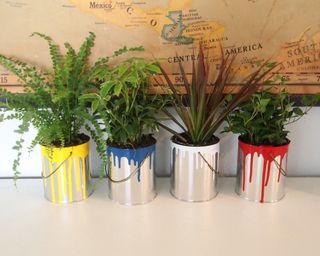 A set of four metal paint tins used as planters with drip-effect paint design