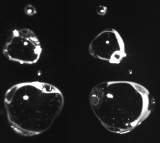 Classifying precipitation near the freezing point of water is especially challenging. The new camera system developed with NSF funding provides information on particle composition, speed, size and angle. To see this image in 3-D, stare at the center of the picture and unfocus your eyes.