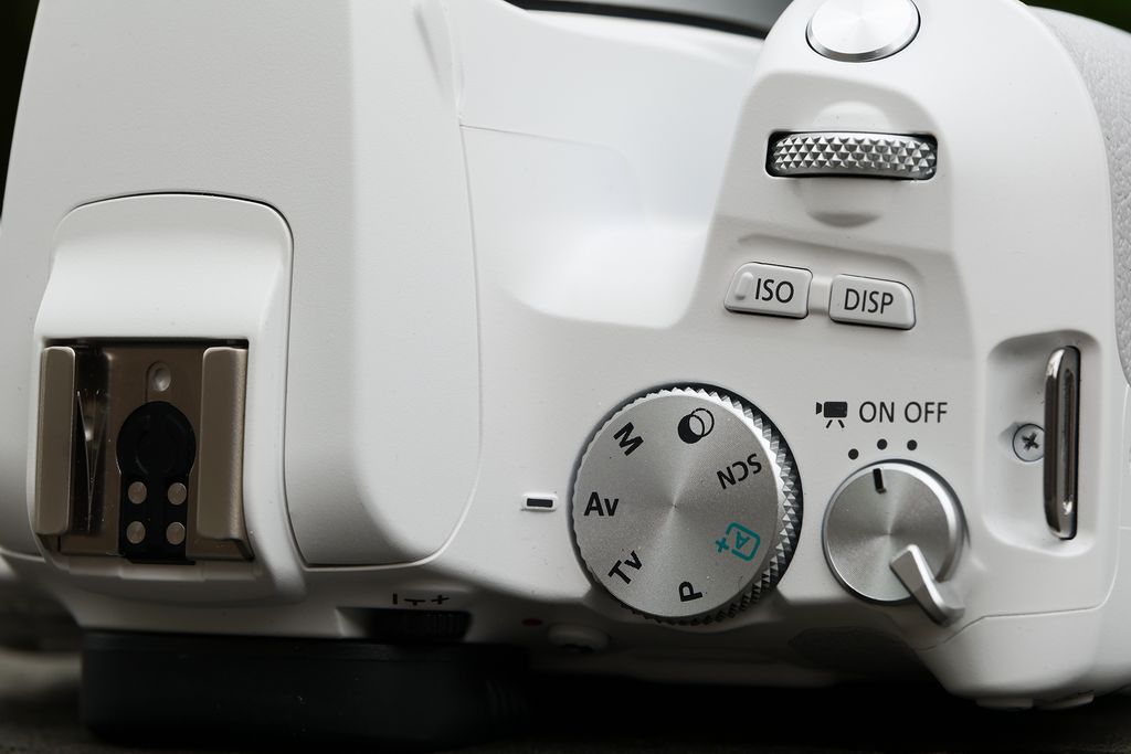 Batterie Pour CANON EOS-DIGITAL REBEL - Otech - Batterie Pour Appareil Photo - Achat & Prix