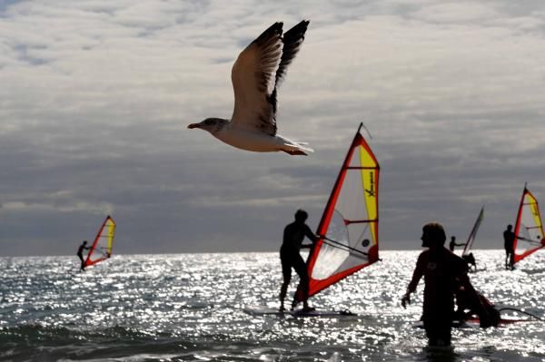 The Saxo Bank riders try their hand at wind surfing