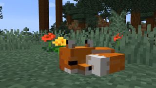 A Minecraft Fox snoozing in a forest.