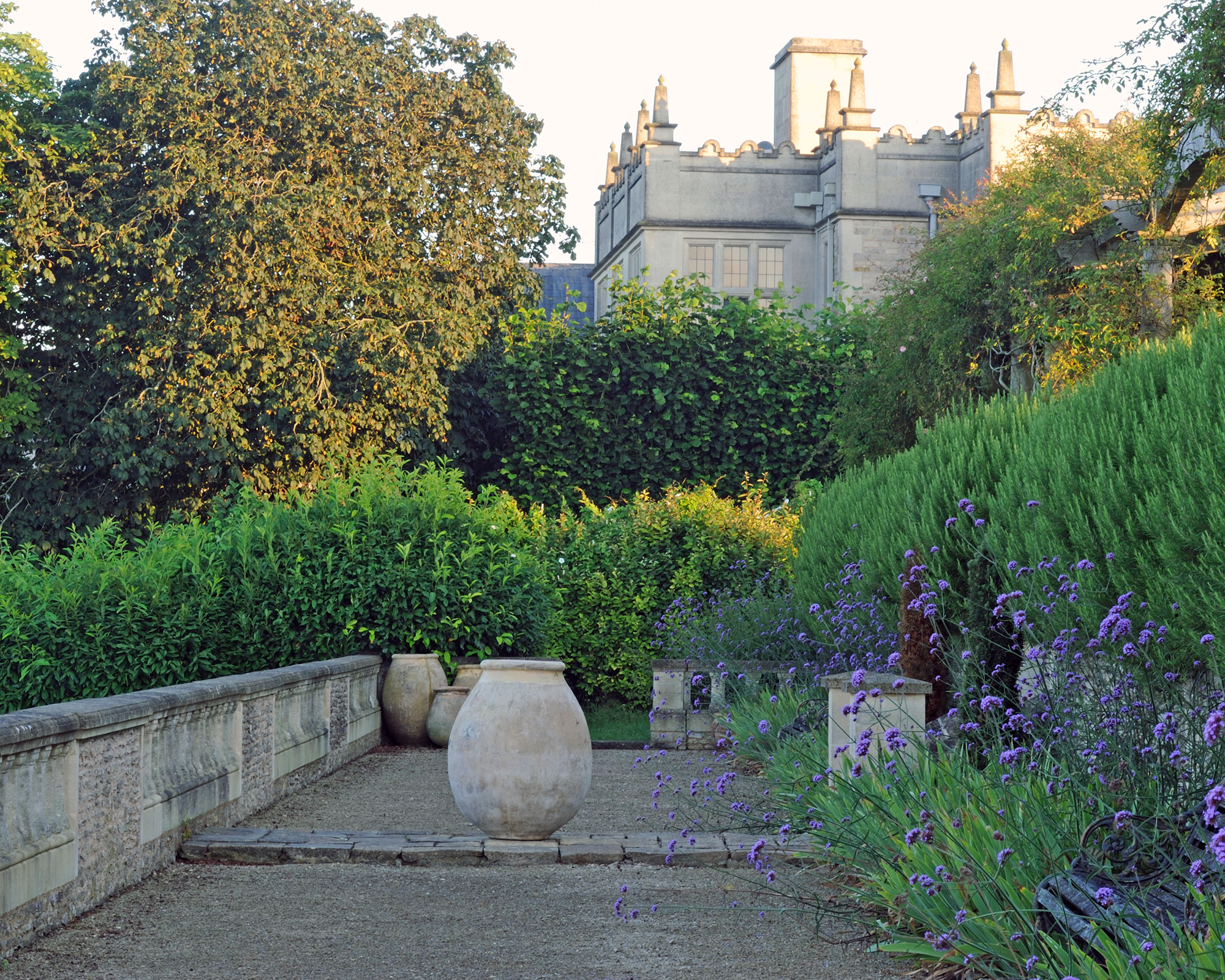 An example of courtyard garden ideas showing a large urn, purple flowers and hedges.