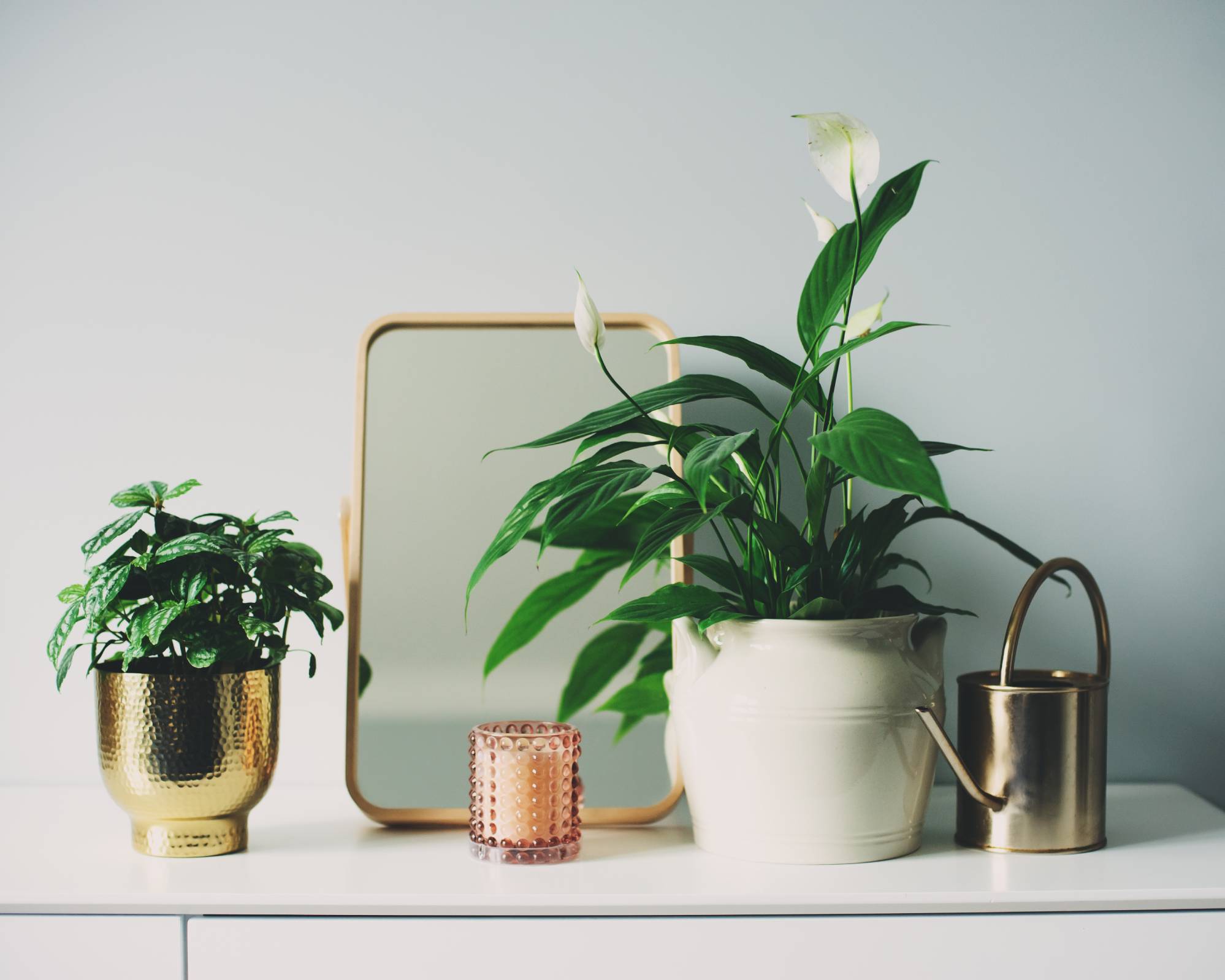Peace lily and other houseplants on table with mirror