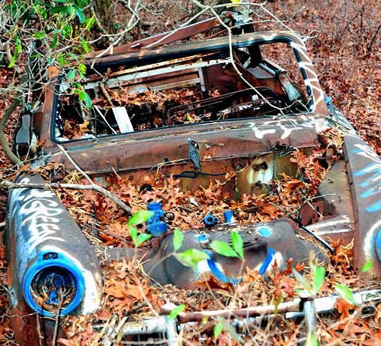Every year this junk car in the forest decays a bit more.