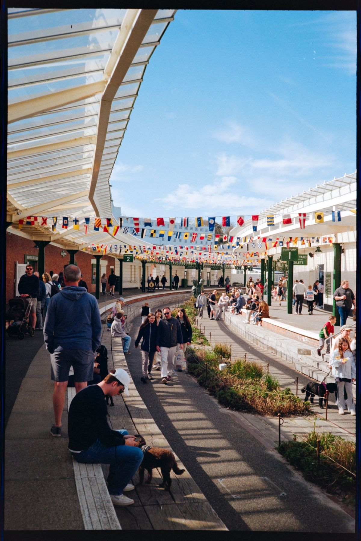 A busy seaside walkway decorated with colorful flags, with people and dogs sitting beneath a glass canopy.