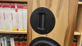 ProAc D20R floorstanding speakers in front of bookcase focus on tweeter