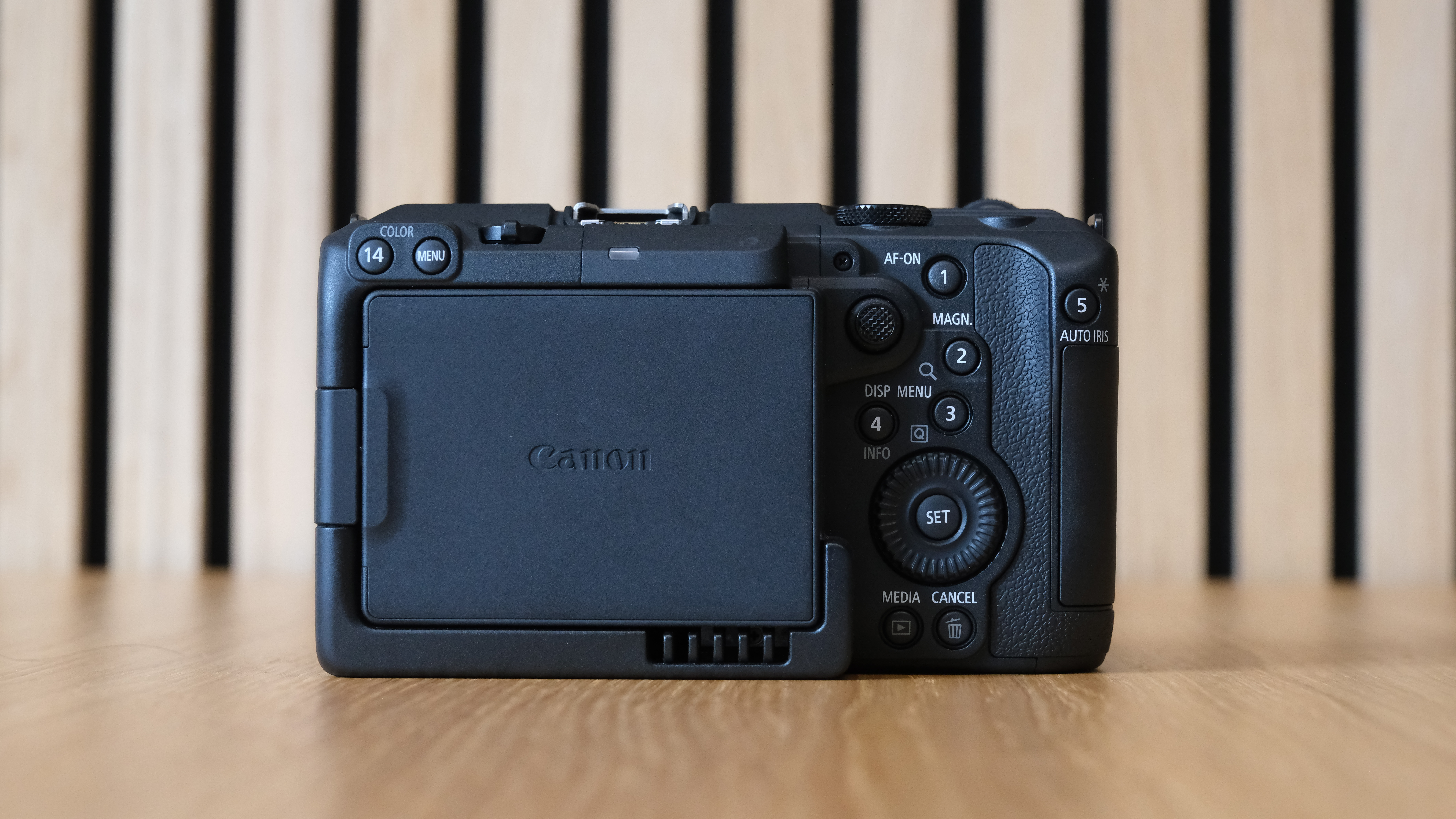 Canon EOS C50 against a striped wooden background