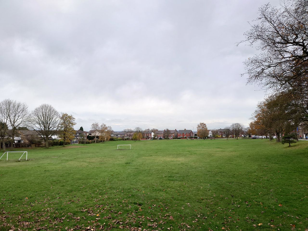 Sony Xperia 5 II camera sample