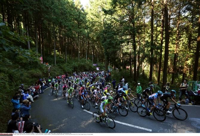 The peloton climbs through the Utsonomiya Forest Park