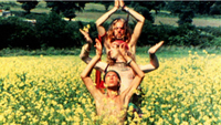  Glastonbury Fayre (UK only)