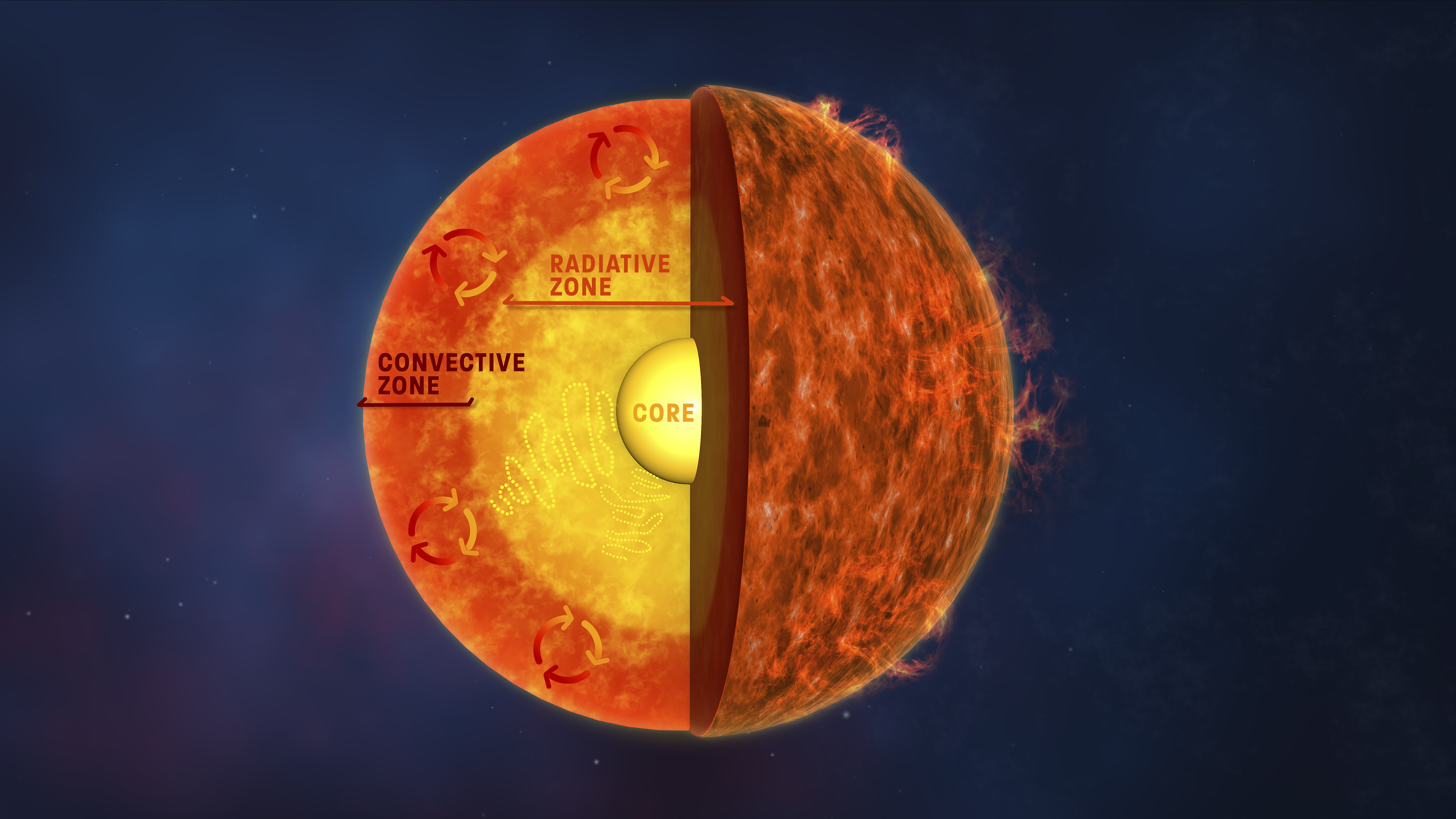 An illustration of the sun's three main layers, with the smaller and outer convective zone on the outside, the large radiative zone in the middle and the inner core at the center.